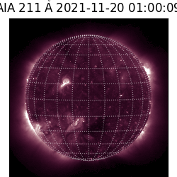 saia - 2021-11-20T01:00:00