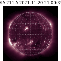 saia - 2021-11-20T21:00:00