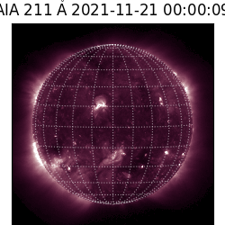 saia - 2021-11-21T00:00:00