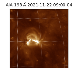 saia - 2021-11-22T09:00:04.843000