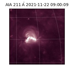 saia - 2021-11-22T09:00:09.626000