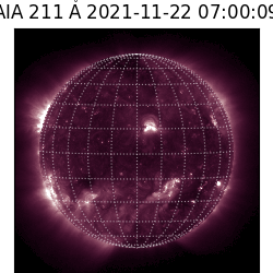 saia - 2021-11-22T07:00:00