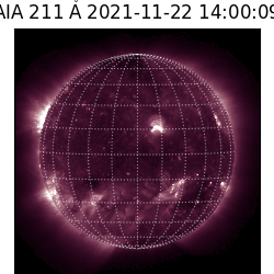 saia - 2021-11-22T14:00:00