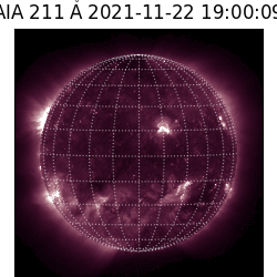 saia - 2021-11-22T19:00:00