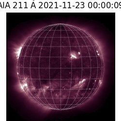 saia - 2021-11-23T00:00:00