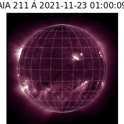 saia - 2021-11-23T01:00:00