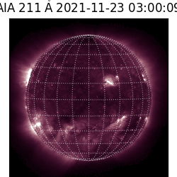 saia - 2021-11-23T03:00:00