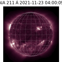 saia - 2021-11-23T04:00:00