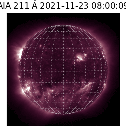 saia - 2021-11-23T08:00:00