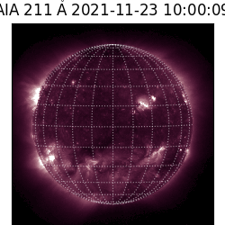 saia - 2021-11-23T10:00:00