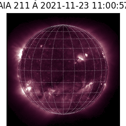 saia - 2021-11-23T11:00:00