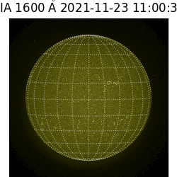 saia - 2021-11-23T11:00:00