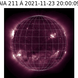saia - 2021-11-23T20:00:00