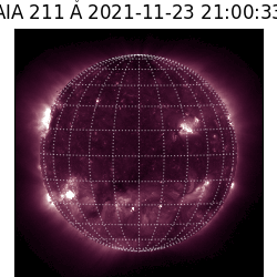 saia - 2021-11-23T21:00:00