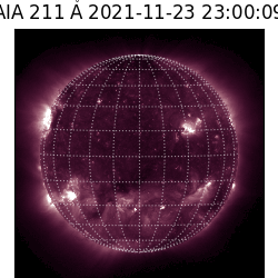 saia - 2021-11-23T23:00:00