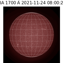 saia - 2021-11-24T08:00:00