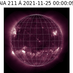 saia - 2021-11-25T00:00:00