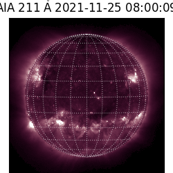 saia - 2021-11-25T08:00:00