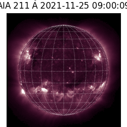 saia - 2021-11-25T09:00:00