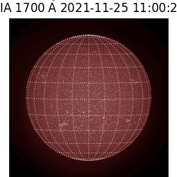 saia - 2021-11-25T11:00:00