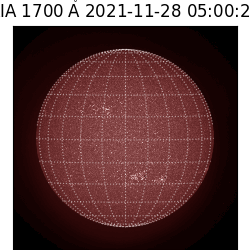 saia - 2021-11-28T05:00:00