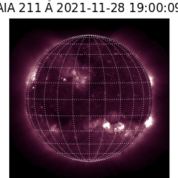 saia - 2021-11-28T19:00:00