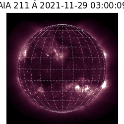 saia - 2021-11-29T03:00:00