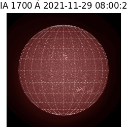 saia - 2021-11-29T08:00:00