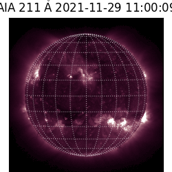 saia - 2021-11-29T11:00:00