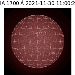 saia - 2021-11-30T11:00:00