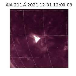 saia - 2021-12-01T12:00:09.626000