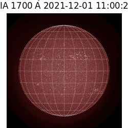 saia - 2021-12-01T11:00:00