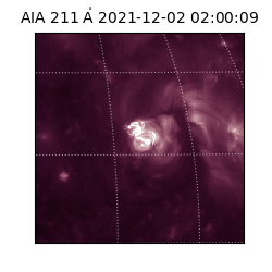 saia - 2021-12-02T02:00:09.623000