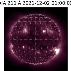 saia - 2021-12-02T01:00:00