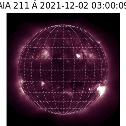 saia - 2021-12-02T03:00:00