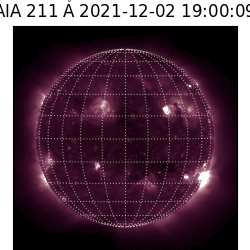 saia - 2021-12-02T19:00:00