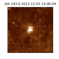 saia - 2021-12-03T14:00:04.843000