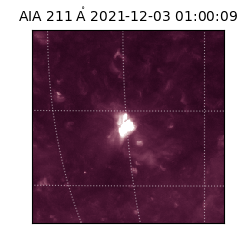 saia - 2021-12-03T01:00:09.618000