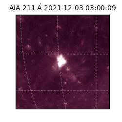 saia - 2021-12-03T03:00:09.630000