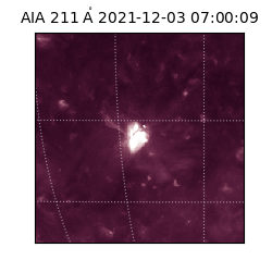 saia - 2021-12-03T07:00:09.626000