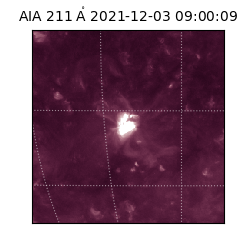 saia - 2021-12-03T09:00:09.625000