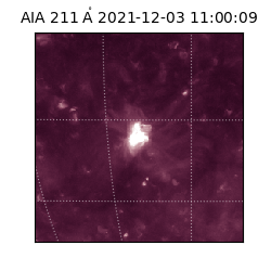 saia - 2021-12-03T11:00:09.629000