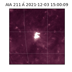 saia - 2021-12-03T15:00:09.626000