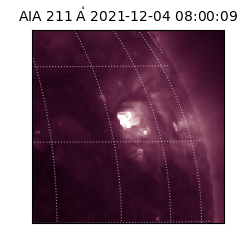 saia - 2021-12-04T08:00:09.626000