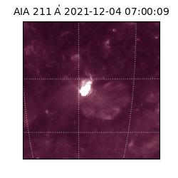 saia - 2021-12-04T07:00:09.625000