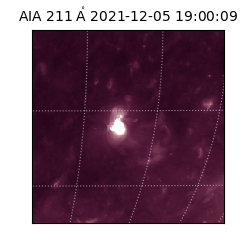 saia - 2021-12-05T19:00:09.623000