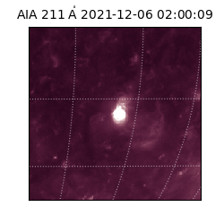 saia - 2021-12-06T02:00:09.625000