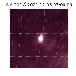 saia - 2021-12-06T07:00:09.626000