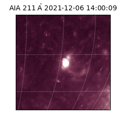 saia - 2021-12-06T14:00:09.625000