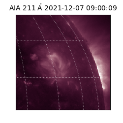 saia - 2021-12-07T09:00:09.626000